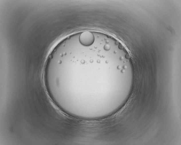 X0000115701511200912101204