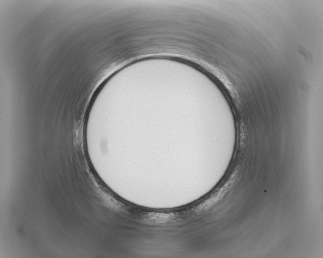 X0000115701513200912101204