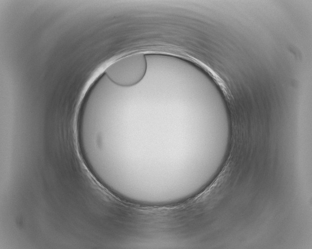 X0000115701514200912101204