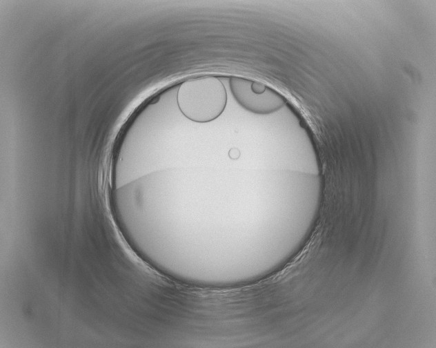 X0000115701515200912101204