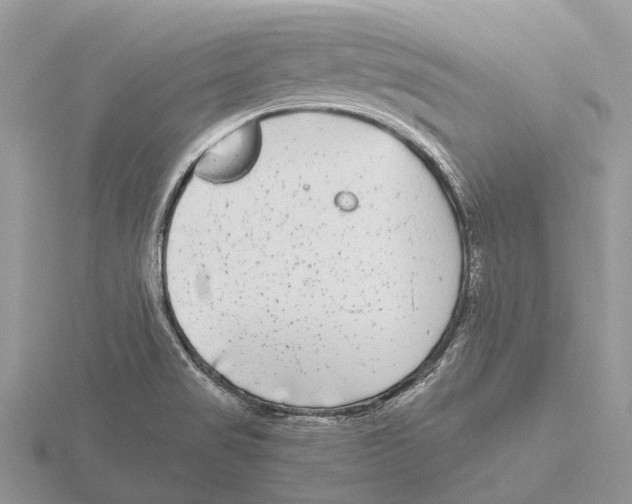 X0000115701517200912101204