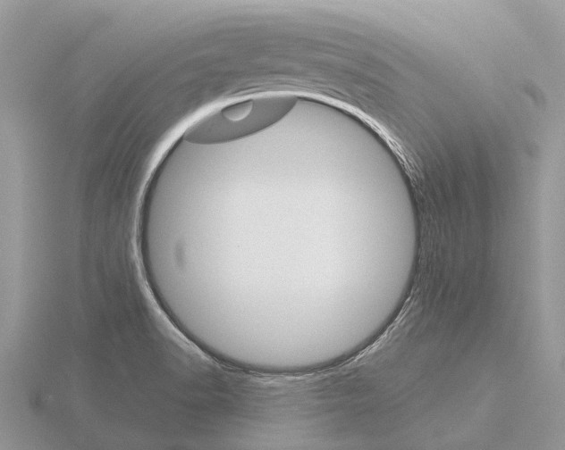 X0000115701518200912101204