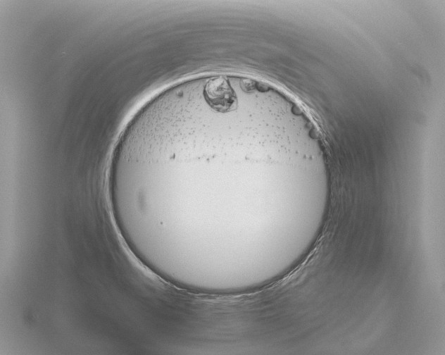 X0000115701519200912101204