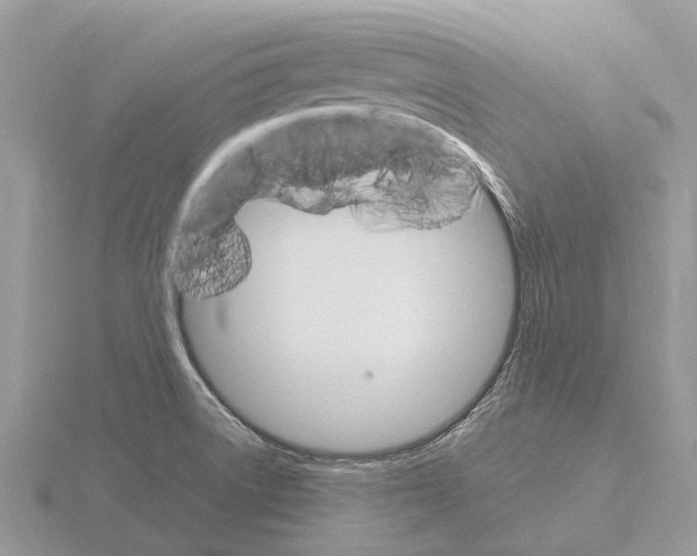 X0000115701522200912101204