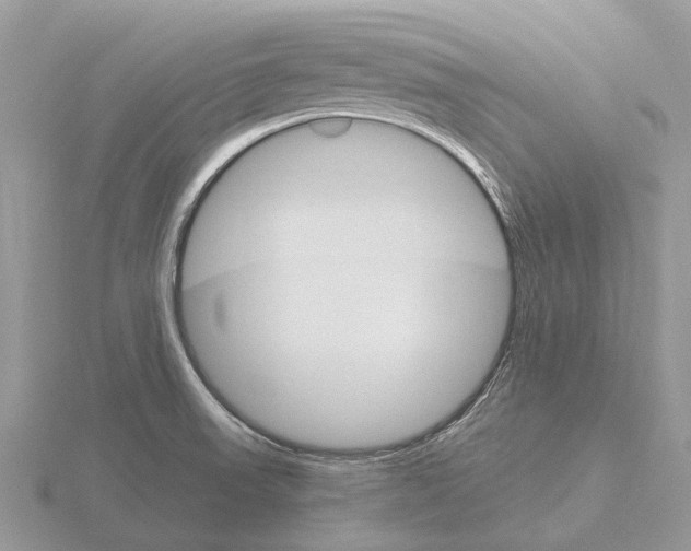 X0000115701523200912101204