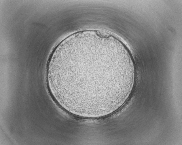 X0000115701525200912101204