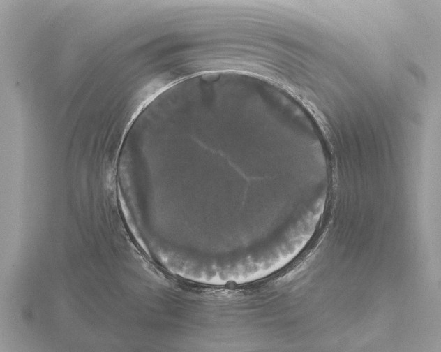 X0000115701529200912101204