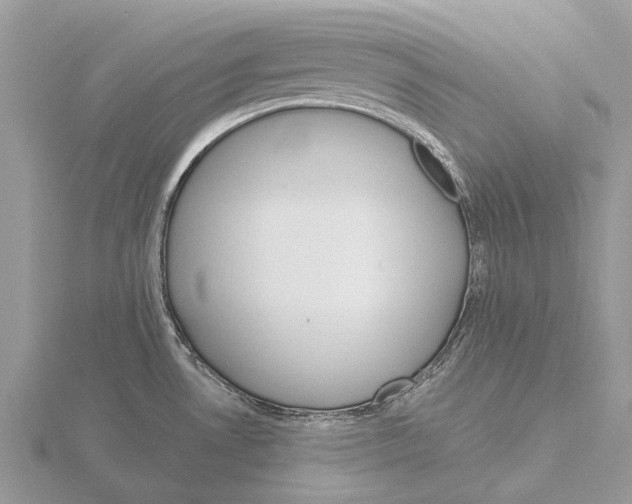 X0000115701530200912101204