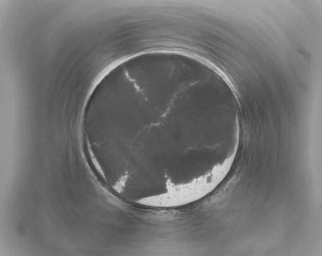 X0000115701533200912101204