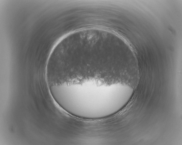 X0000115701535200912101204