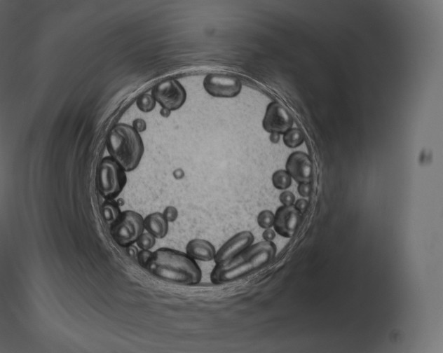 X0000115700001200912241532