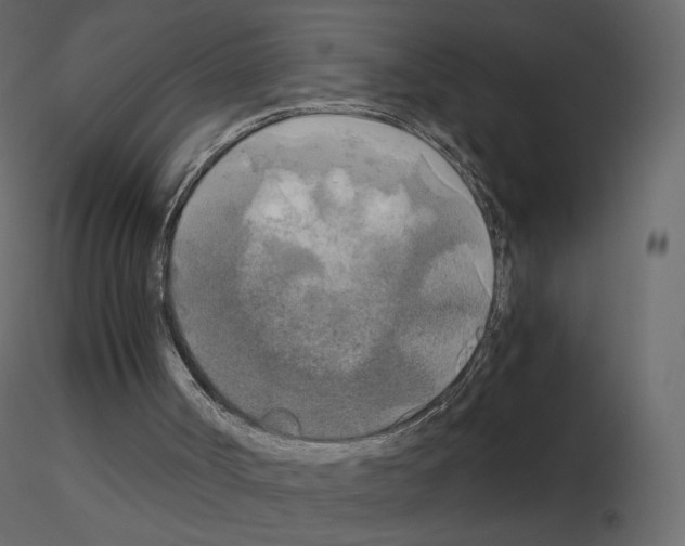 X0000115700002200912241532