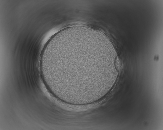 X0000115700006200912241532