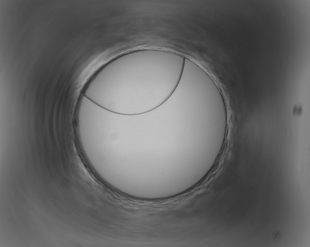 X0000115700007200912241532