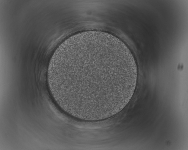 X0000115700009200912241532