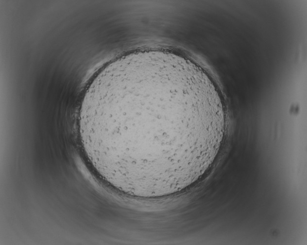 X0000115700010200912241532