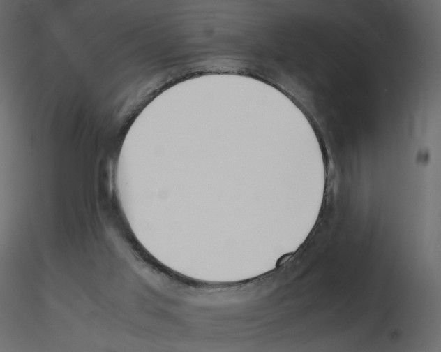 X0000115700013200912241532