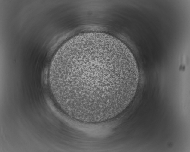 X0000115700014200912241532