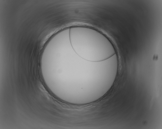 X0000115700015200912241532