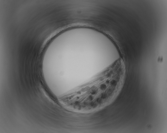 X0000115700016200912241532