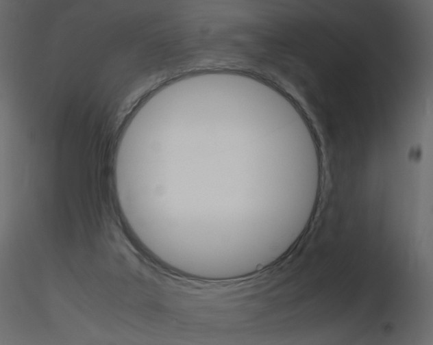 X0000115700019200912241532