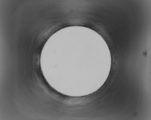 X0000115700021200912241532