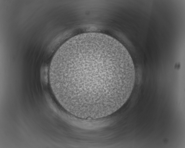 X0000115700022200912241532