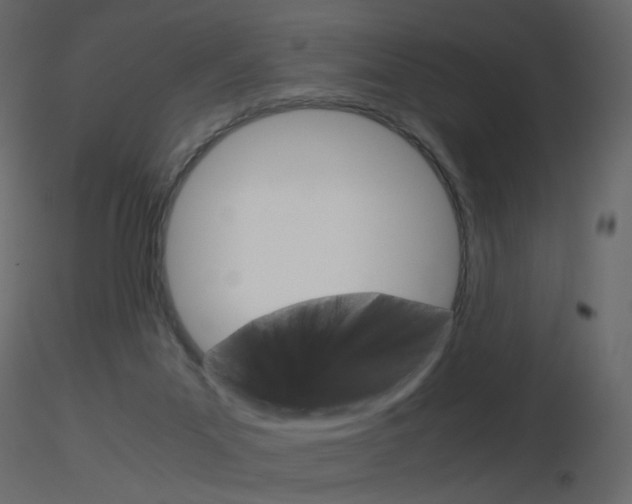 X0000115700023200912241532