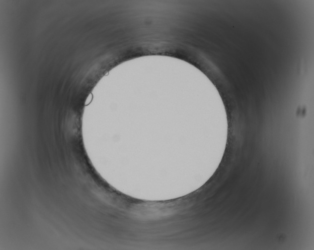 X0000115700025200912241532