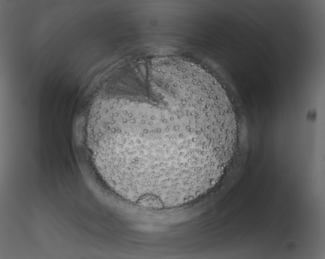 X0000115700026200912241532