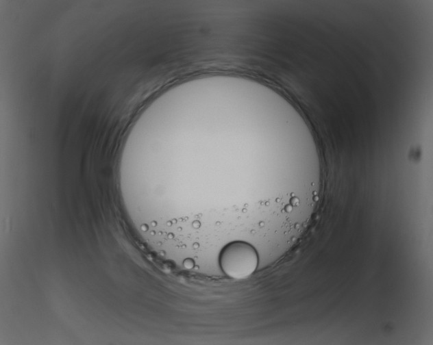 X0000115700028200912241532