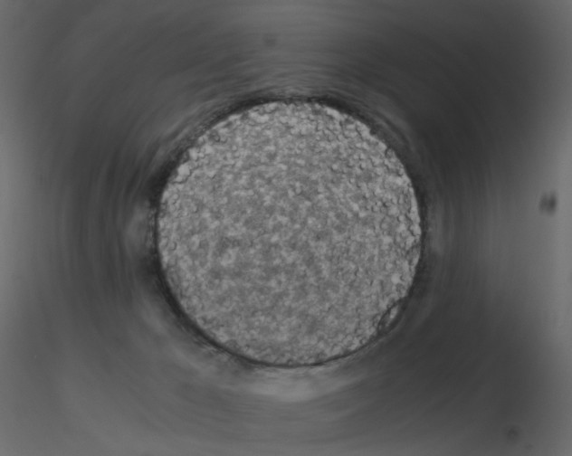 X0000115700029200912241532