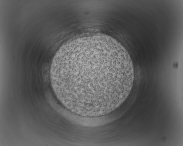 X0000115700030200912241532