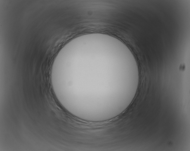 X0000115700031200912241532