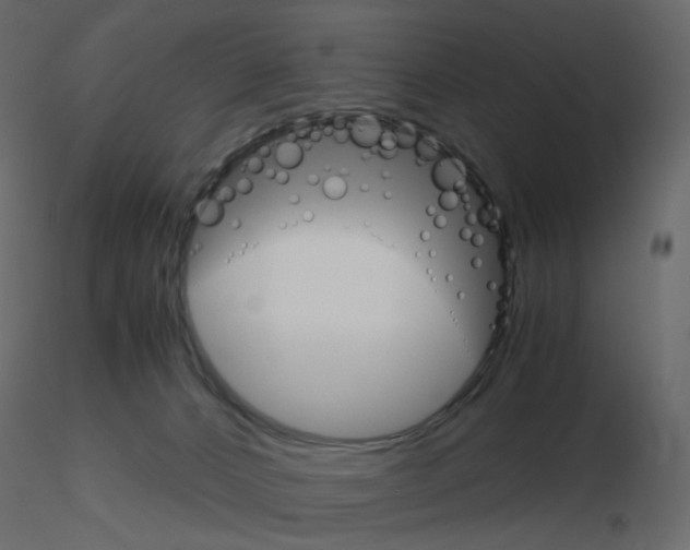 X0000115700032200912241532