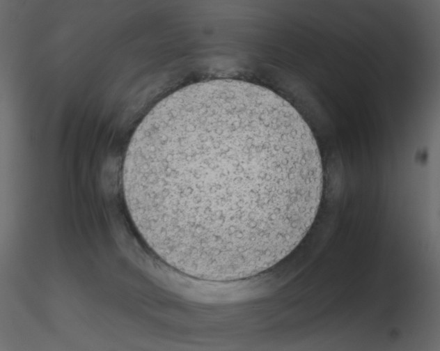 X0000115700034200912241532