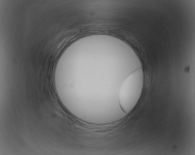 X0000115700035200912241532