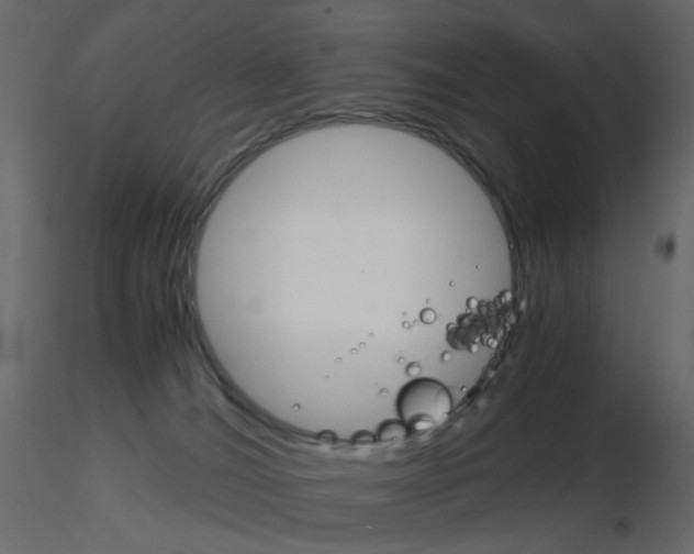 X0000115700036200912241532