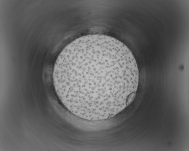 X0000115700038200912241532