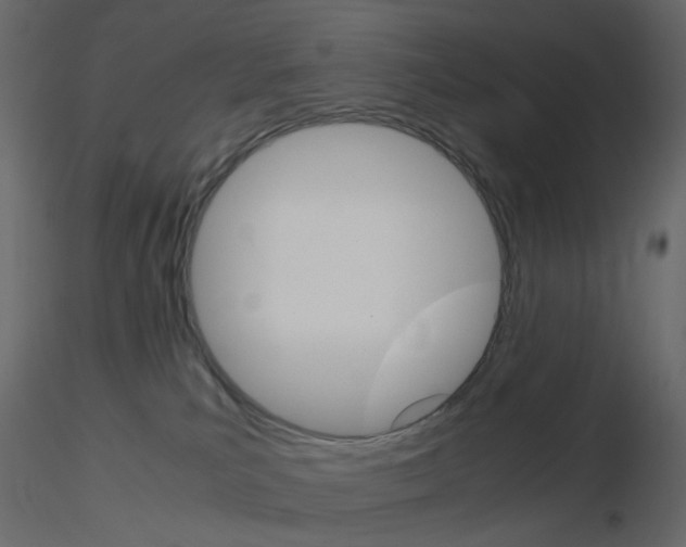 X0000115700039200912241532