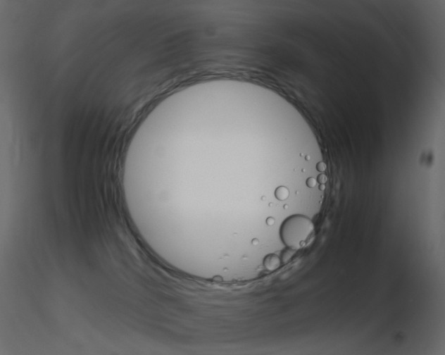 X0000115700040200912241532