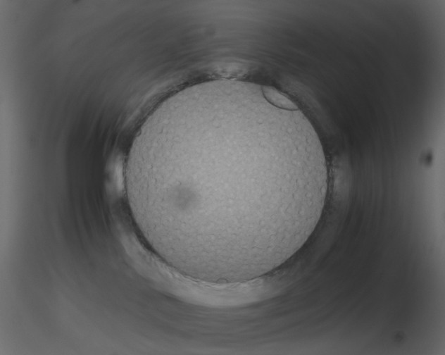 X0000115700042200912241532