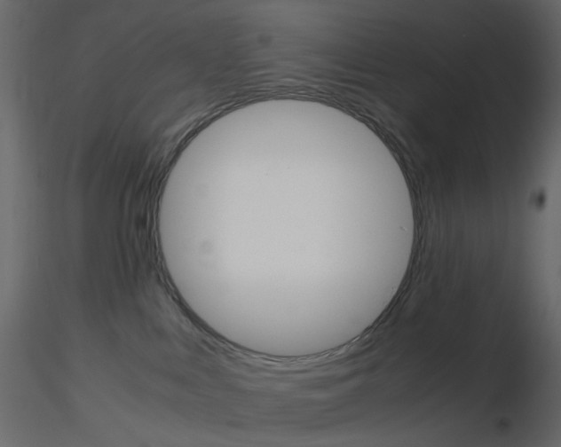 X0000115700043200912241532