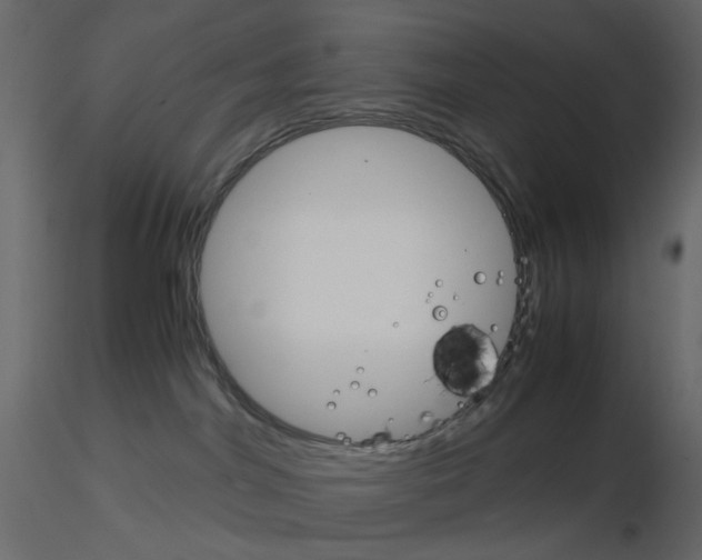 X0000115700044200912241532