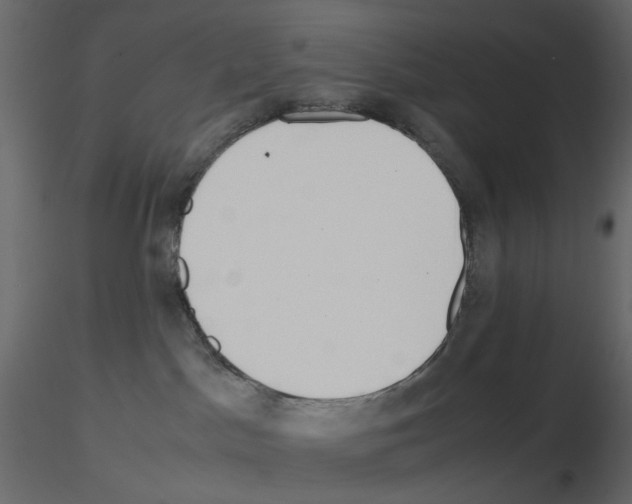 X0000115700045200912241532