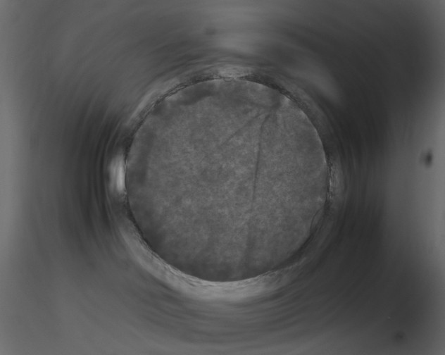 X0000115700046200912241532