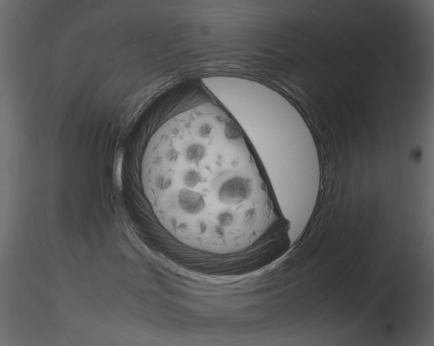 X0000115700047200912241532