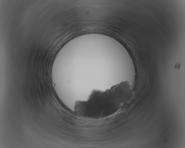 X0000115700048200912241532