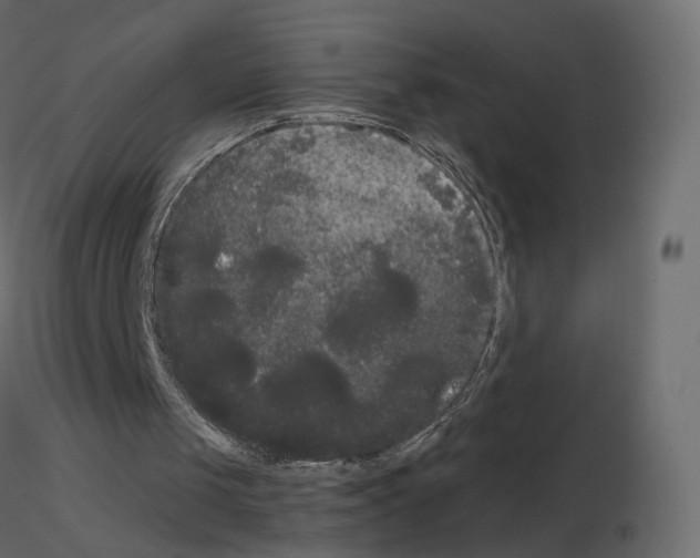 X0000115700049200912241531