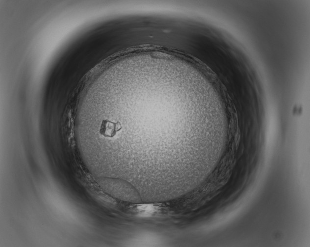 X0000115700050200912241531